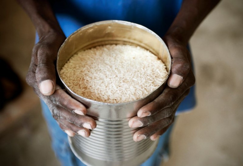rice-hands-sized